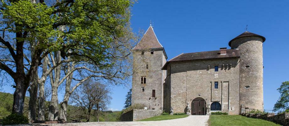 Hôtel Chateau De Marigna Extérieur photo