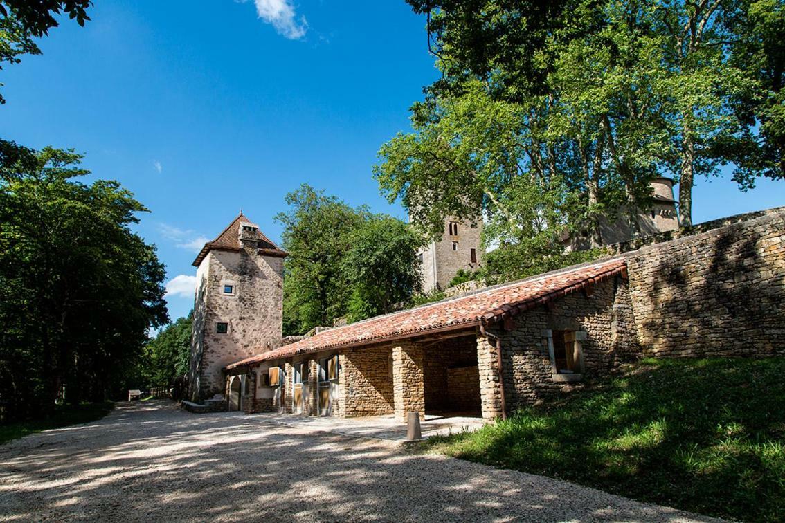 Hôtel Chateau De Marigna Extérieur photo