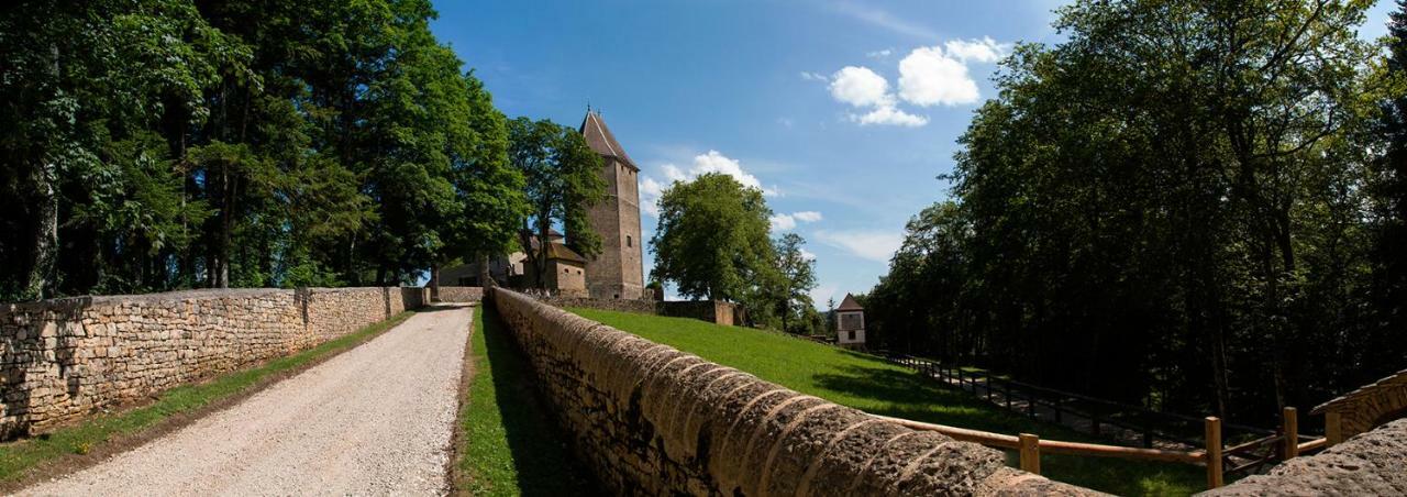 Hôtel Chateau De Marigna Extérieur photo